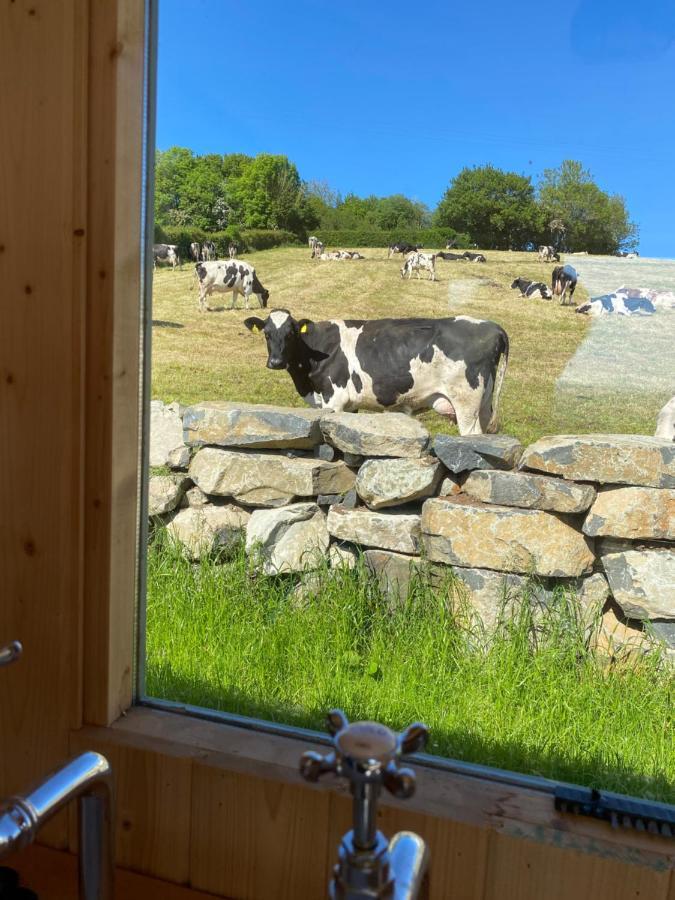 The Stone Wall Hideaway Portglenone Екстер'єр фото